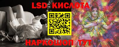 стафф Донской
