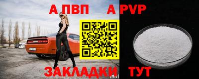 стафф Донской