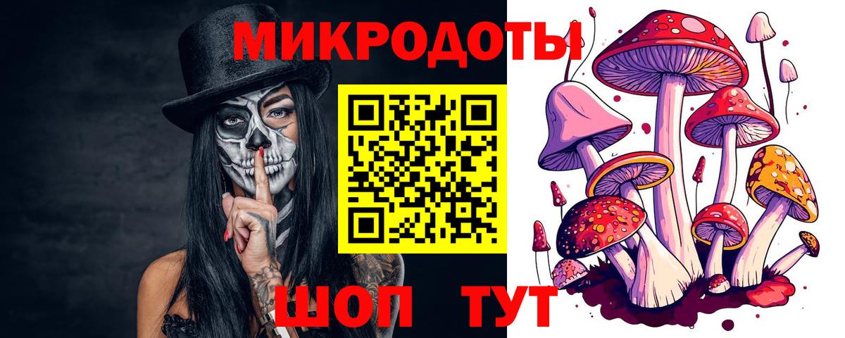 Псилоцибиновые грибы прущие грибы Новоалександровск