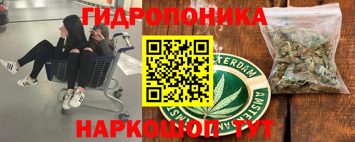 Бошки марихуана гибрид Новоалександровск